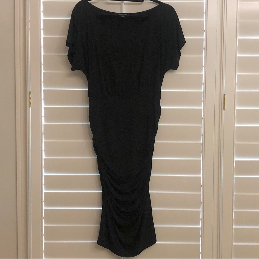 Isabella Oliver Maternity Dress